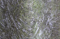 Graveney fibreglass roof work